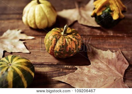 closeup of some different pumpkins and dry leaves on a rustic wooden surface