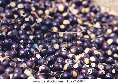 Heap Of Dried Juniper Berries