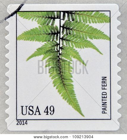 A stamp printed in USA dedicated to Ferns shows painted fern circa 2014
