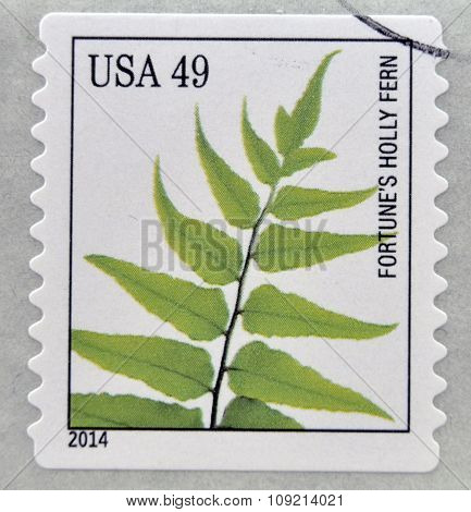 A stamp printed in USA dedicated to Ferns shows fortunes holly fern circa 2014