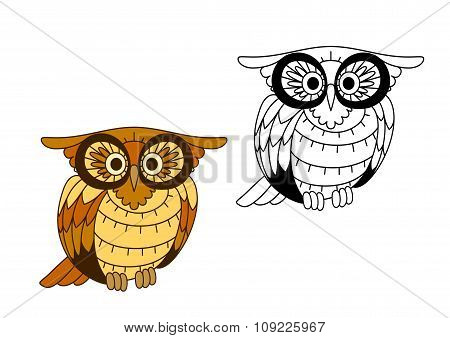 Funny creech owl with yellow and brown plumage