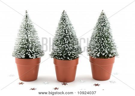 Petits arbres neige-moucheté