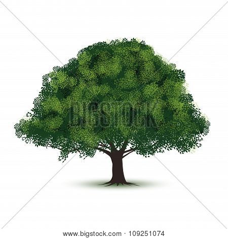 Green Tree