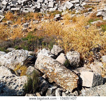 The Old  Temple And Theatre In Termessos Antalya Turkey Asia Sky And Ruins