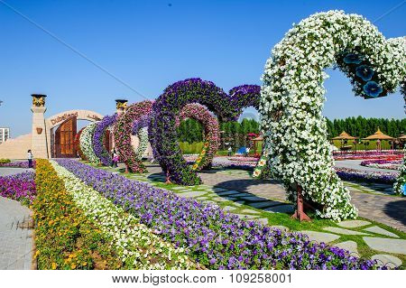 Dubai Miracle Garden in the UAE.