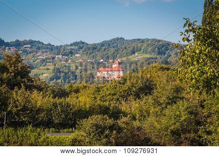 Castle in trees.
