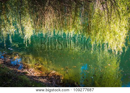 Green water.