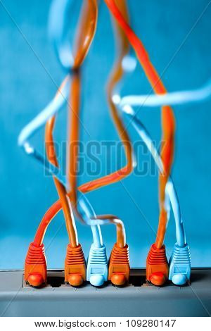 LAN UTP cables connected to switch or router. Internet network communication concept