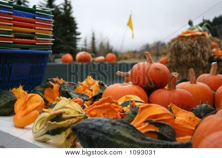 Autumn_Market