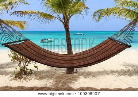Hammock, Palms and the Sea