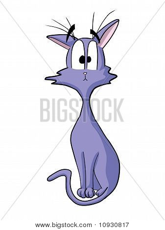 sjove violet kat