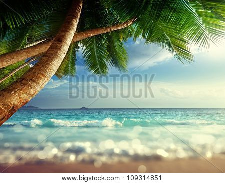 sunset on Seychelles beach, tilt shift soft effect