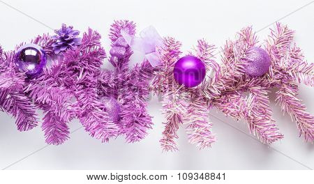 Magenta tree branch with isolated on white.