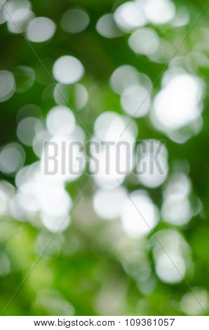 Bokeh Green Background