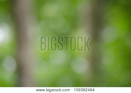 Bokeh Green Background
