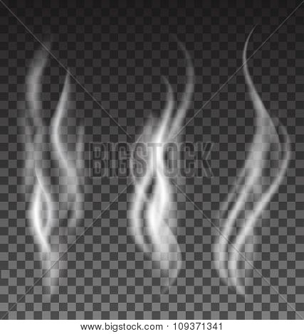 White Smoke Set On Translucent Background