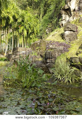 Picturesque Habitation Anse Latouche Garden In Martinique