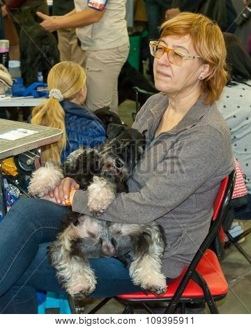 MOSCOW, RUSSIA - NOVEMBER 1, 2015: Exhibitors showing their pets during International Dog Show CACIB-FCI on November 1, 2015 in Moscow, Russia