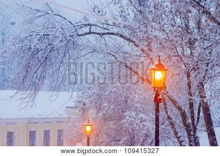 Street Lamp On Background Of Branches Under Snow