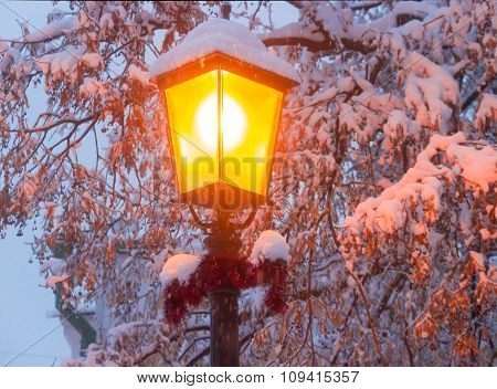 Street Lamp On Background Of Branches Under Snow