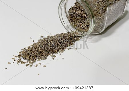 Dried lavender flowers
