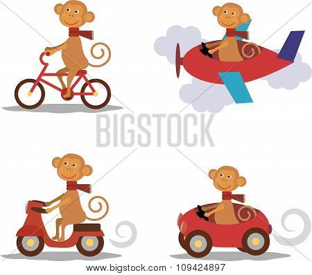 Set - cute monkey with scarf on transport