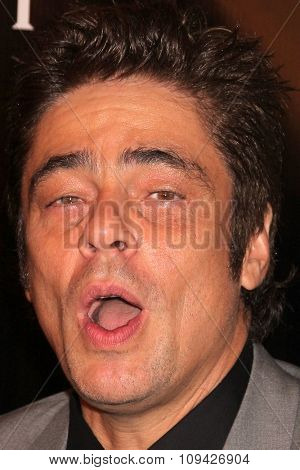 LOS ANGELES - AUG 13:  Benicio Del Toro at the HFPA Hosts Annual Grants Banquet - Arrivals at the Beverly Wilshire Hotel on August 13, 2015 in Beverly Hills, CA