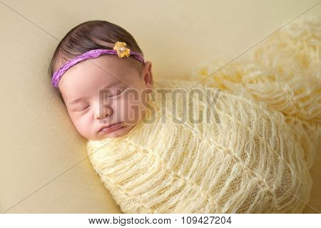 Sleeping Newborn Baby Girl Swaddled In Yellow