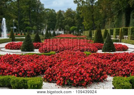 Flower garden in the palace of Wilanow