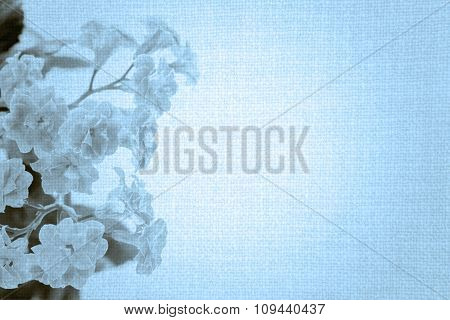 Sweet Color Flowers Of Kalanchoe Plant On Old Blue Cloth Texture Vintage Styled