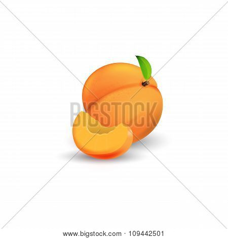 Apricot