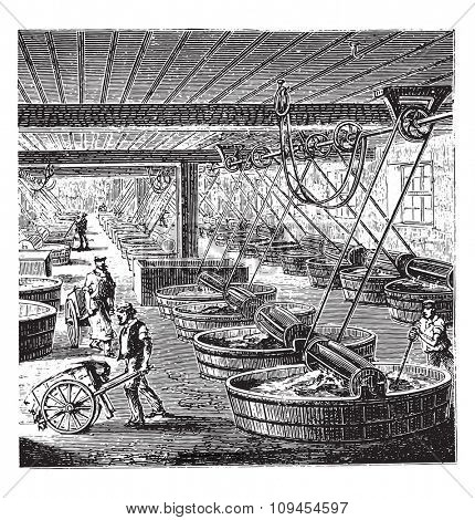 Workshop tanning with sumac, vintage engraved illustration. Industrial encyclopedia E.-O. Lami - 1875.