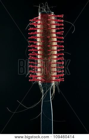 hairy brush