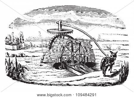 Egyptian Noria, vintage engraved illustration. Industrial encyclopedia E.-O. Lami - 1875.