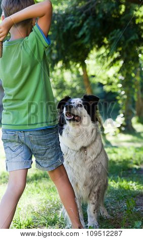 Boy Plays With Dog In Garden