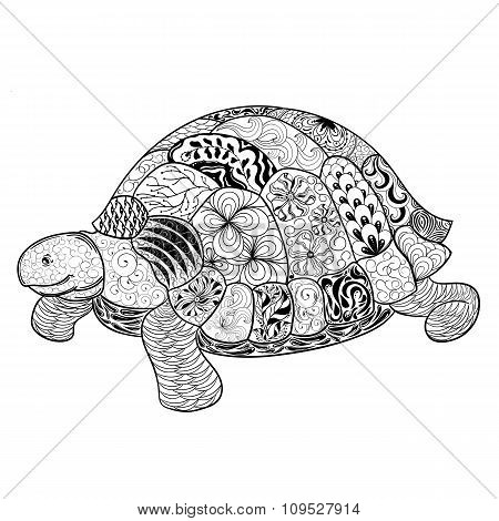 Turtle Doodle  Illustration