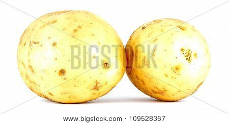 Potato, two potatoes isolated on white background