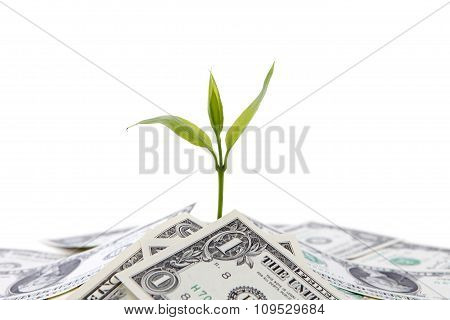 Making money concept