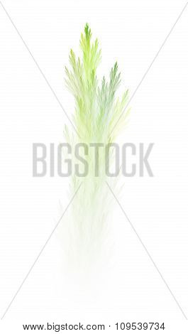Pale Green Climbing Sprouts Of Bush, Creative Abstract Fractal Illustration, On White Backg