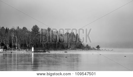 Peninsular forest - emerging from fog, mist rising from Ottawa River.