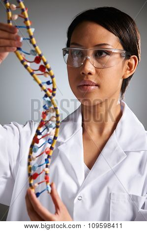 Scientist Studying Molecular Model