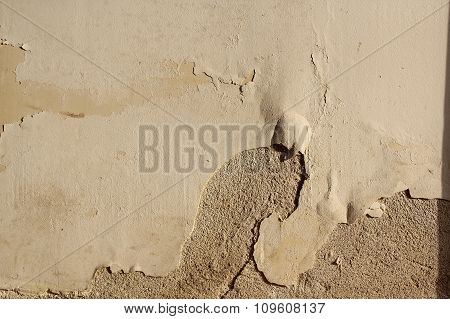 Effect Of Ascensional Humidity On Plaster