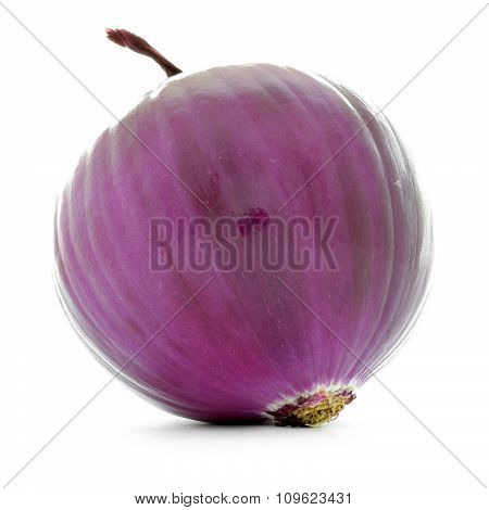 Red onion with clean smooth purple skin isolated on white