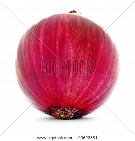 Red onion with streaks and veins on smooth skin isolated