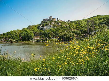 Ruins Of An Ancient Castle On The River Shore, Les Andeles, France