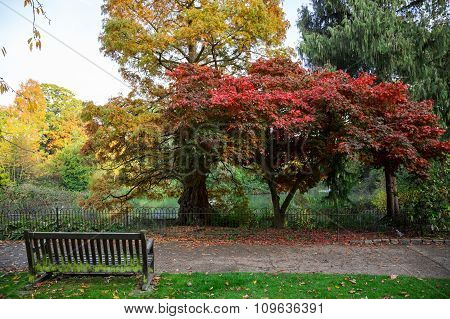 Empty Bench at the Lake in Autumn