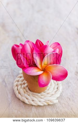 Romantic Vintage  Love Background Decorated With Lovely Flower Plumeria In Corsage Style