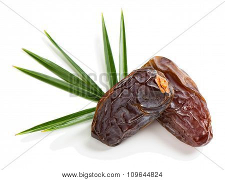 Two Dried Date Fruits