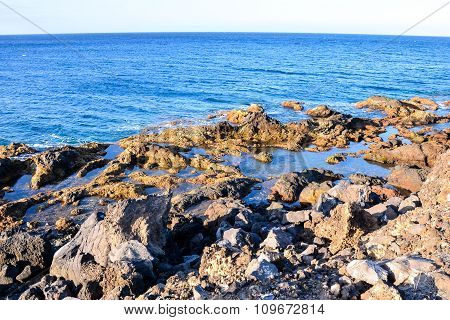Dry Lava Coast Beach