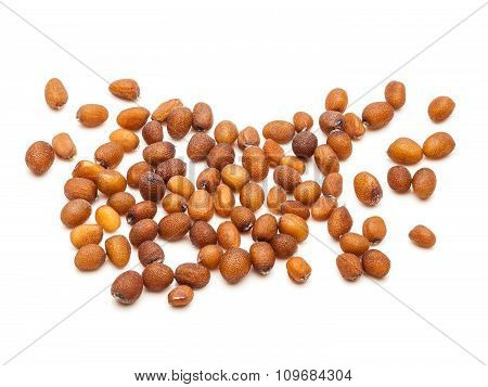 Macro closeup of Organic Small Brown Mustard Seeds.
